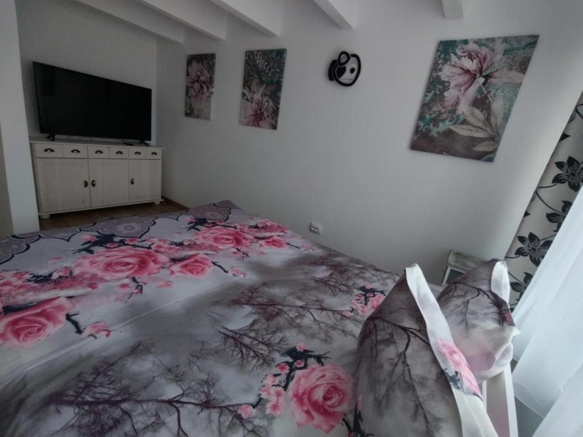 Apartament Alyosha Segesvár Kültér fotó